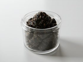 shilajit