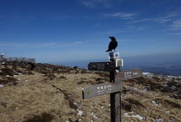 volcan coree du sud
